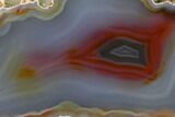 Colorful, Polished Condor Agate Section - Argentina #145520-1